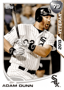 Adam Dunn Card
