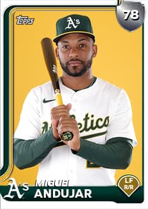 Miguel Andujar Card