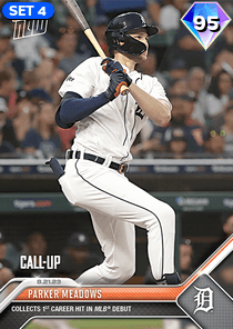 Parker Meadows Card